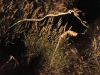 00015760