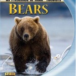 IMAX Bears IMAX Bears
