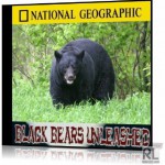Черные медведи Тайваня / Black bears unleashed Черные медведи Тайваня / Black bears unleashed