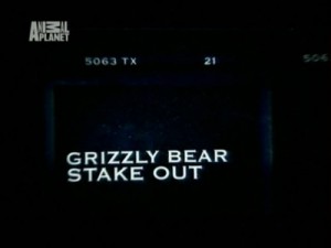 Остин Стивенс: Медведи гризли / Austin Stevens: Grizzly Bear Stake Out