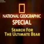 Всё о медведях / Search for the Ultimate Bear