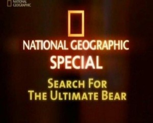 Всё о медведях / Search for the Ultimate Bear