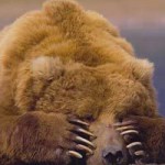Медвежья спячка Медвежья спячка